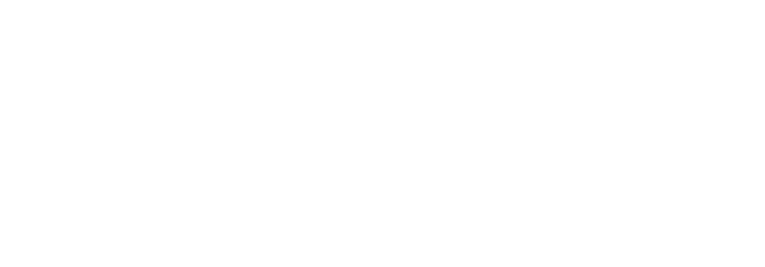 Scale Limited Logo